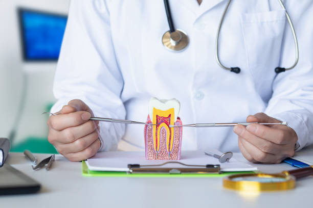 Best Orthodontic Emergency Dentist in Richardson, TX